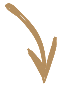 Zweisam_Finanz_Pfeil_rechts_Goldbeige_transparent (6)